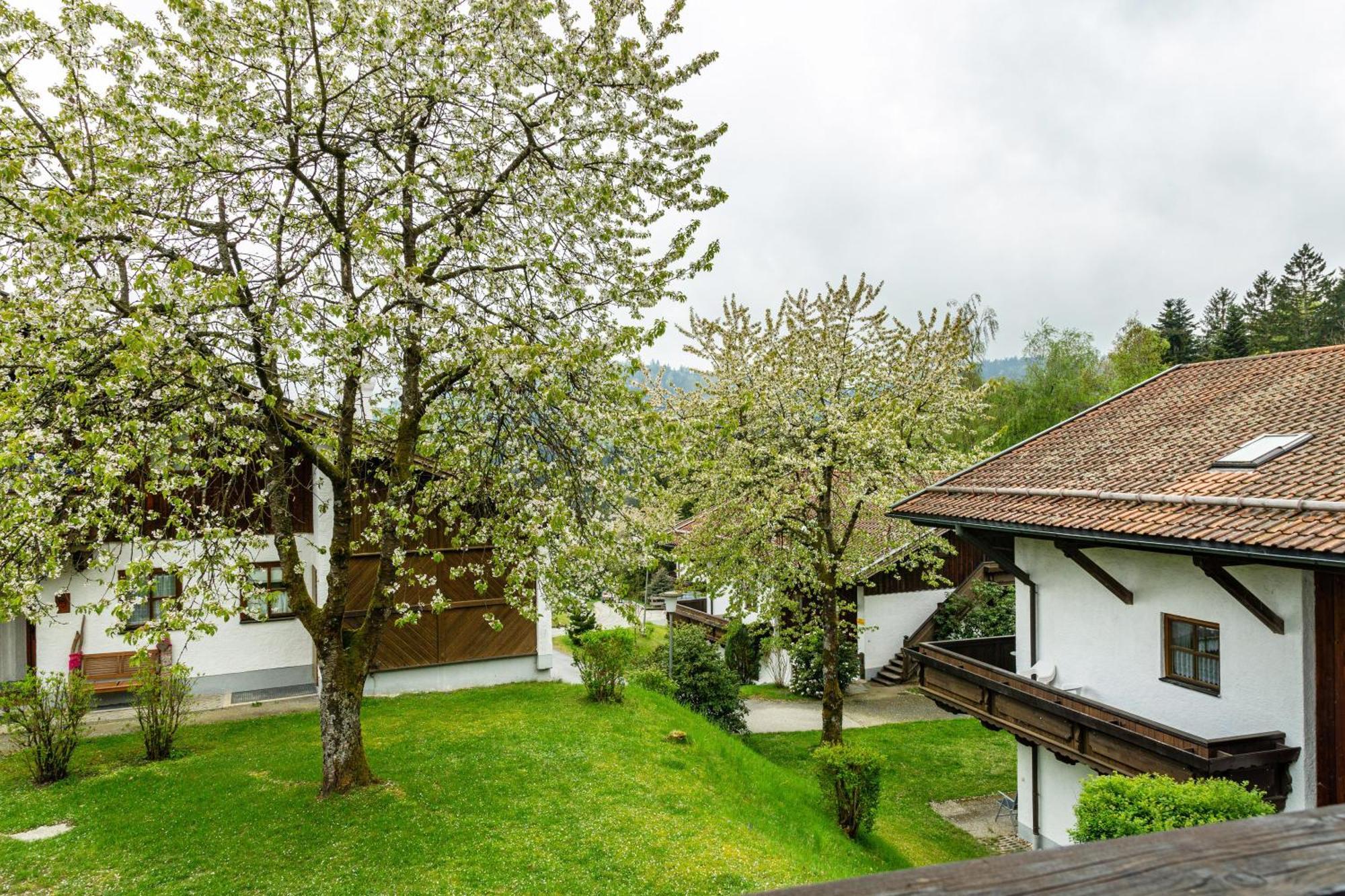 Komfortwohnung Mit Pool Und Sauna Hauzenberg Extérieur photo